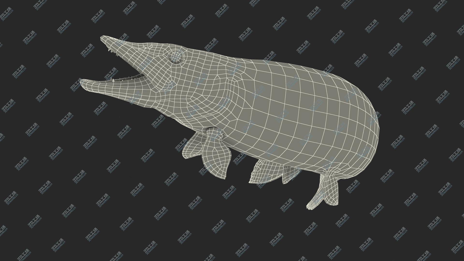 images/goods_img/202105072/Pike Fish Jump Out Pose 3D model/3.jpg